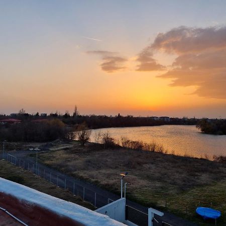 Herastrau Park บูคาเรสต์ ภายนอก รูปภาพ